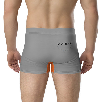 Gray Boxer Briefs