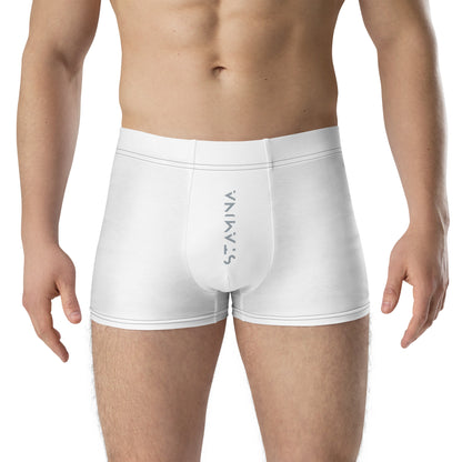 White Boxer Briefs