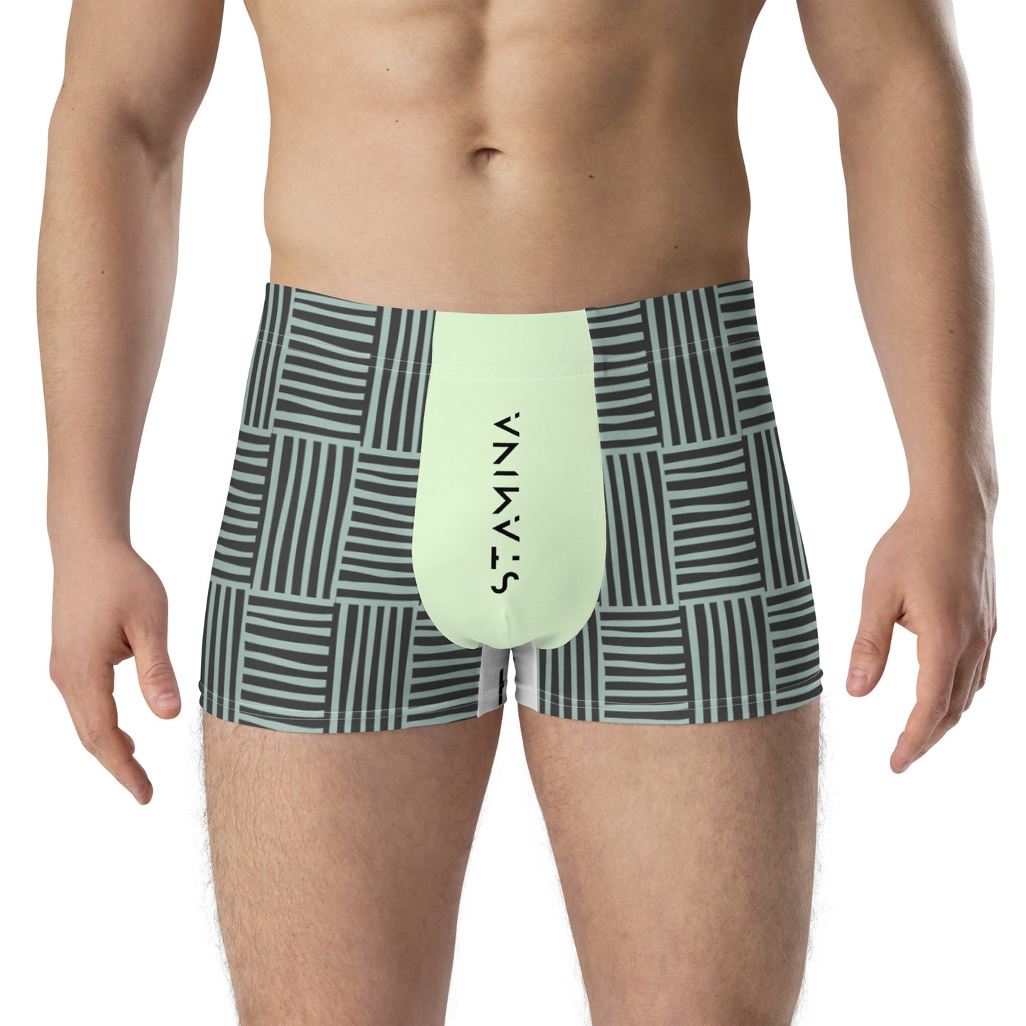 Black & Green Striped Boxer Briefs