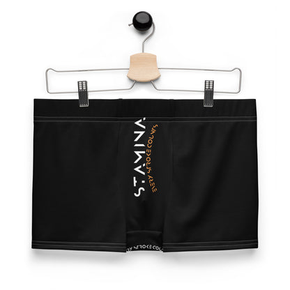 Stamina Boxer Briefs