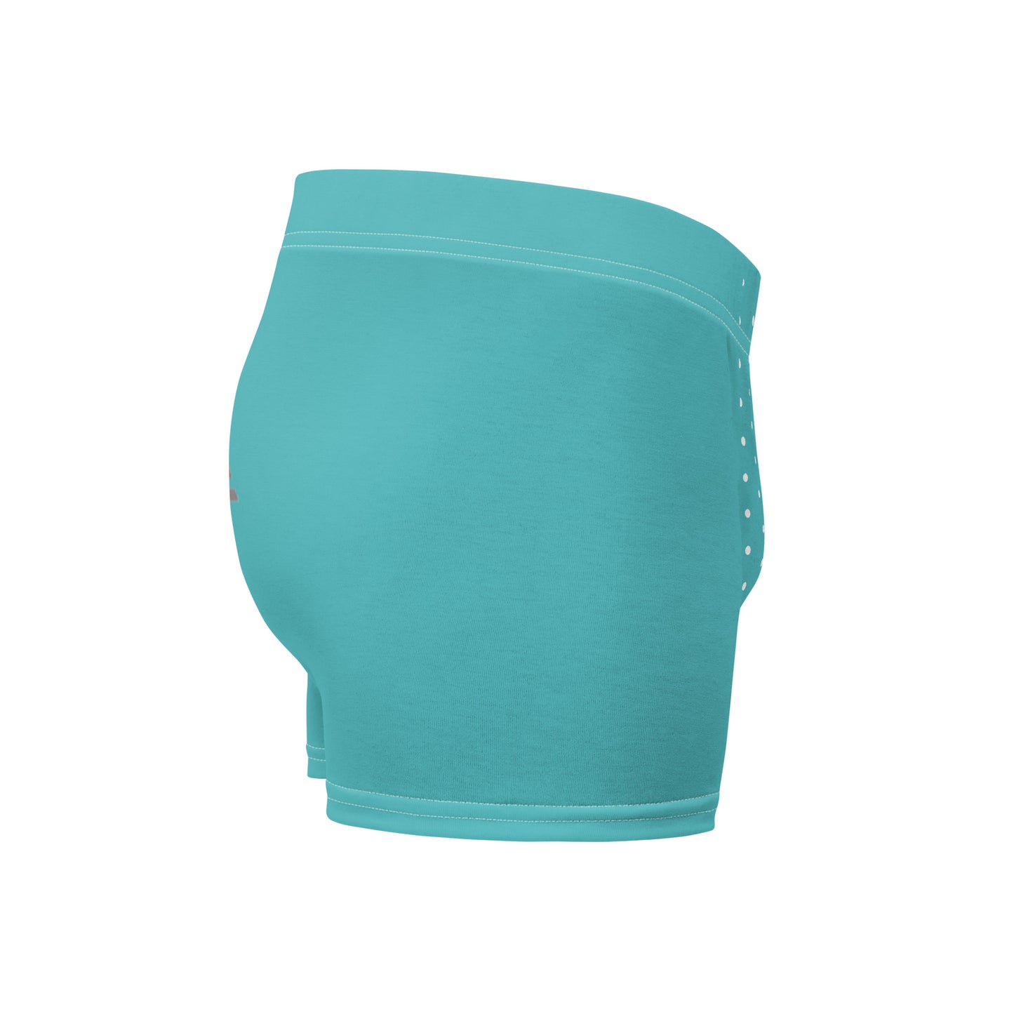 Turquoise Boxer Briefs