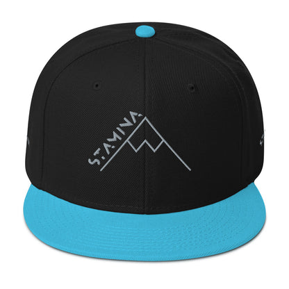 Mt Everest Snapback Hat