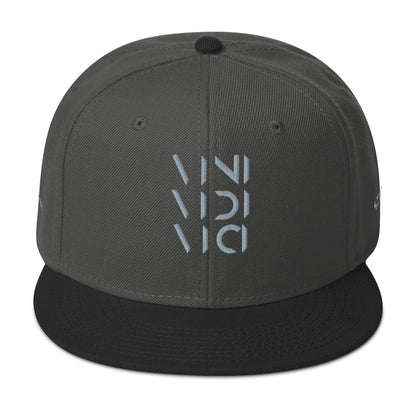 Vini Vidi Vici Snapback Hat