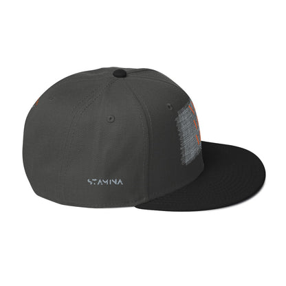 Vini Vidi Vici Snapback Hat