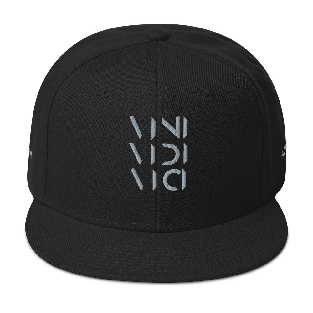 Vini Vidi Vici Snapback Hat