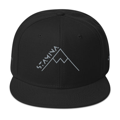 Mt Everest Snapback Hat