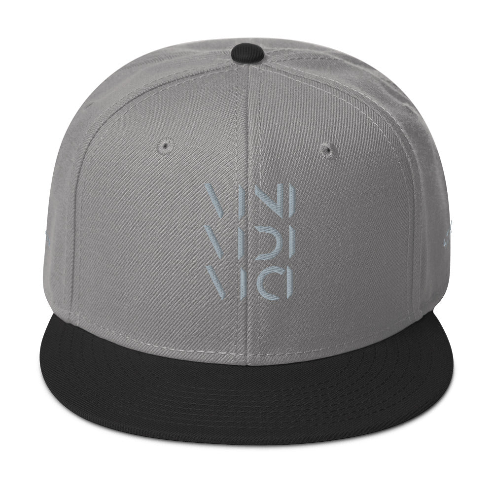 Vini Vidi Vici Snapback Hat