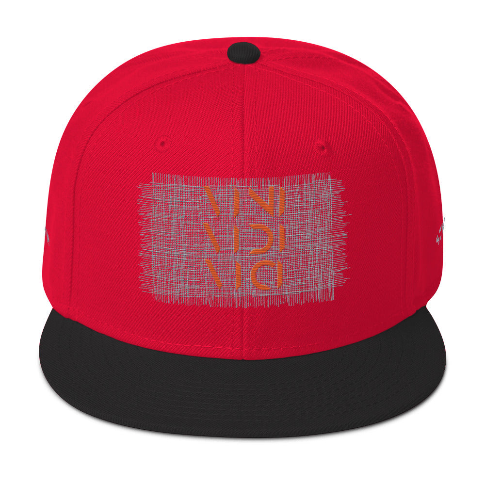 Vini Vidi Vici Snapback Hat