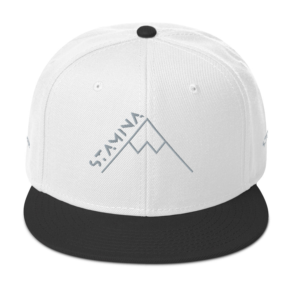 Mt Everest Snapback Hat