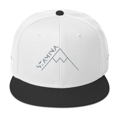 Mt Everest Snapback Hat