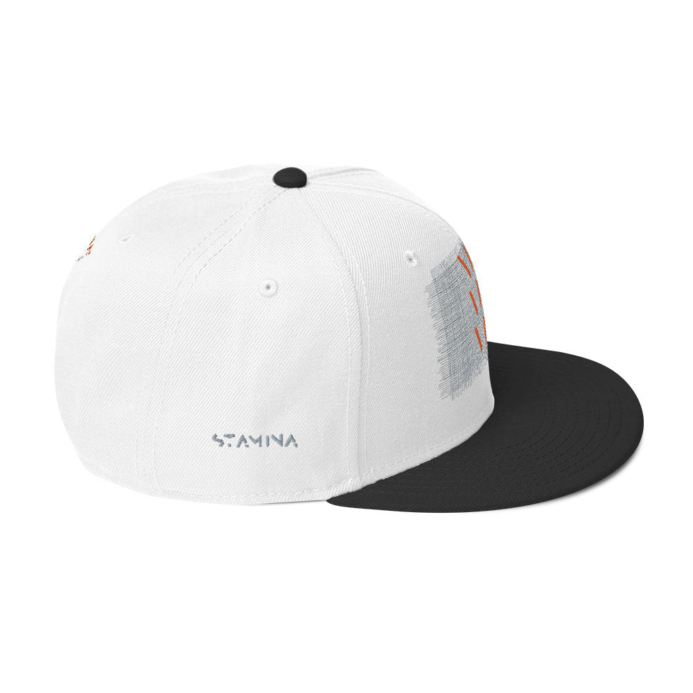 Vini Vidi Vici Snapback Hat