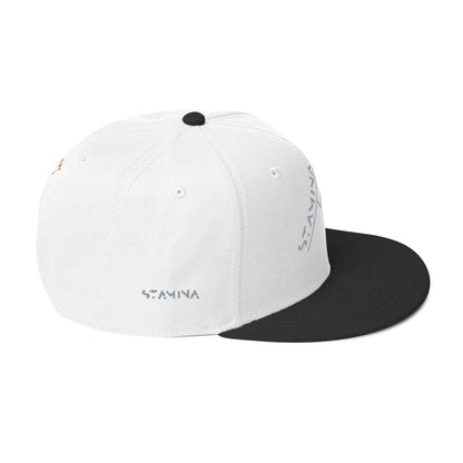 Mt Everest Snapback Hat