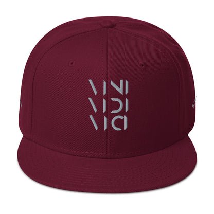 Vini Vidi Vici Snapback Hat