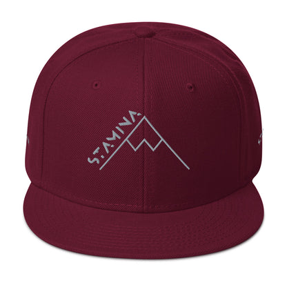 Mt Everest Snapback Hat