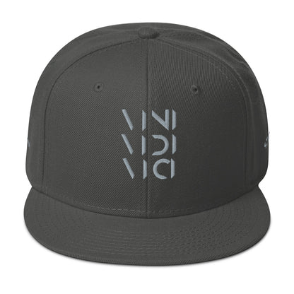 Vini Vidi Vici Snapback Hat