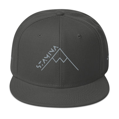 Mt Everest Snapback Hat