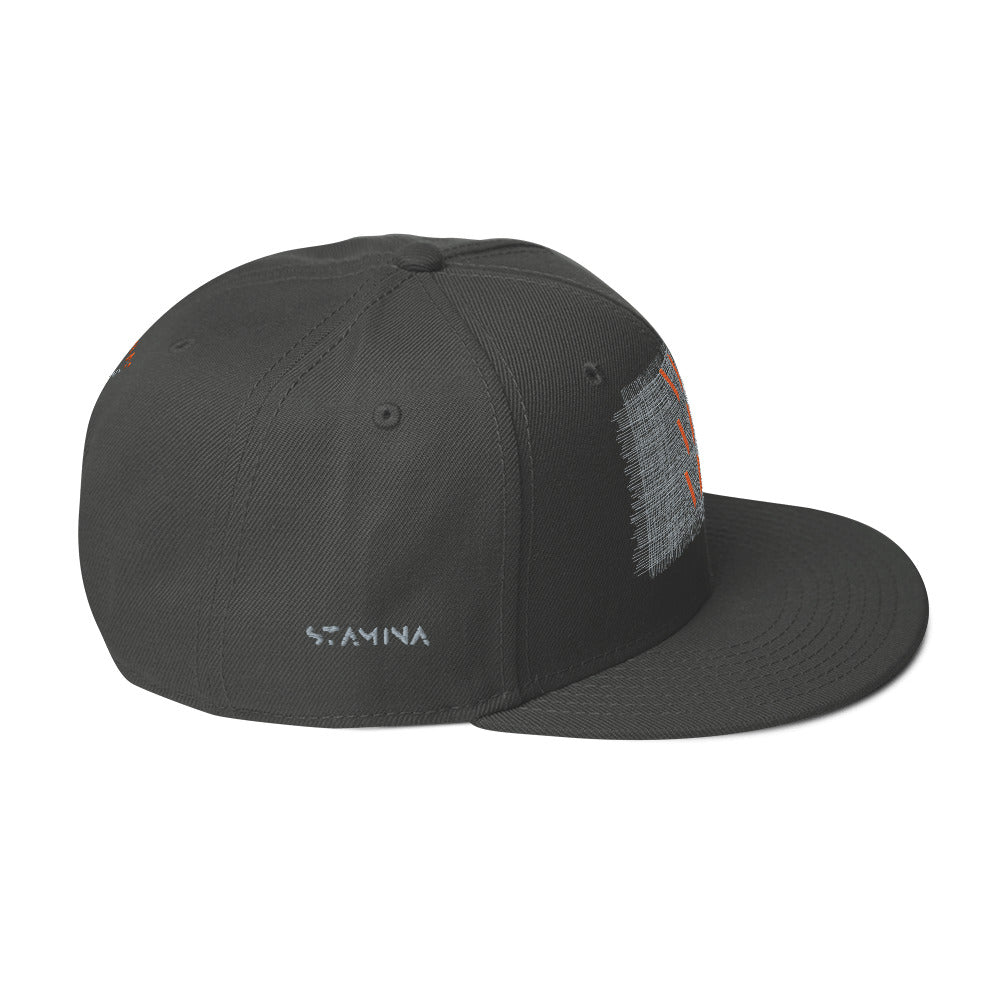 Vini Vidi Vici Snapback Hat