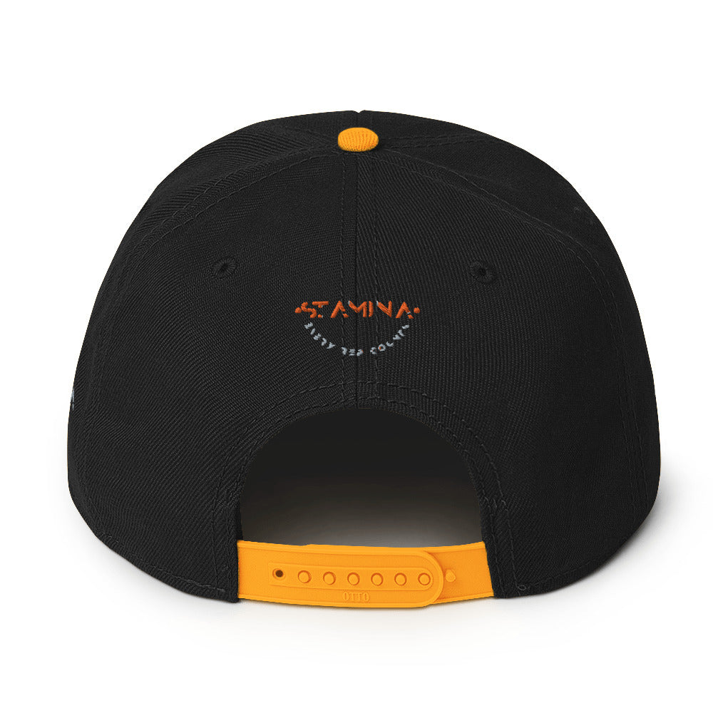 Training Day Snapback Hat