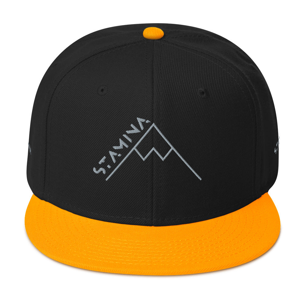 Mt Everest Snapback Hat