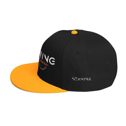 Training Day Snapback Hat