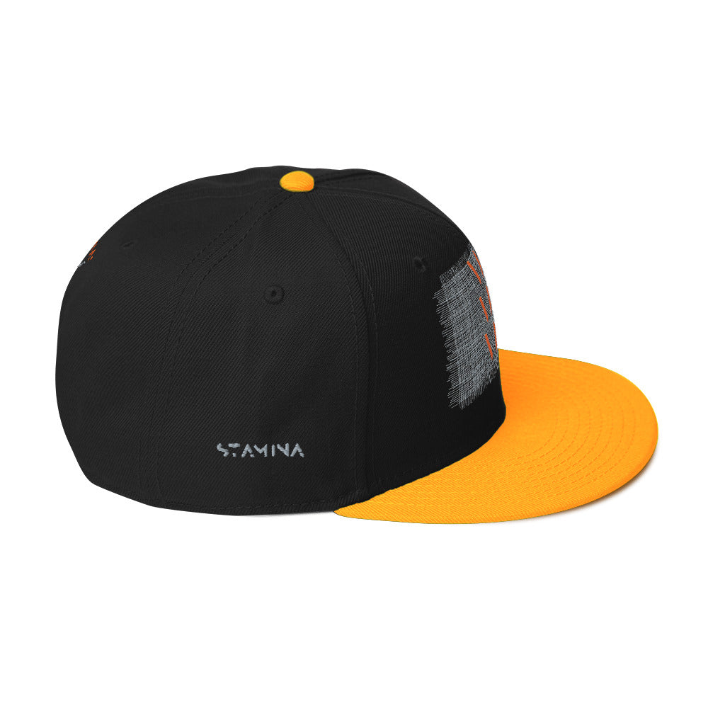 Vini Vidi Vici Snapback Hat