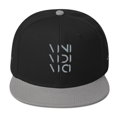 Vini Vidi Vici Snapback Hat