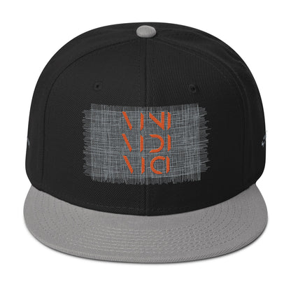 Vini Vidi Vici Snapback Hat