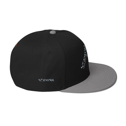 Mt Everest Snapback Hat