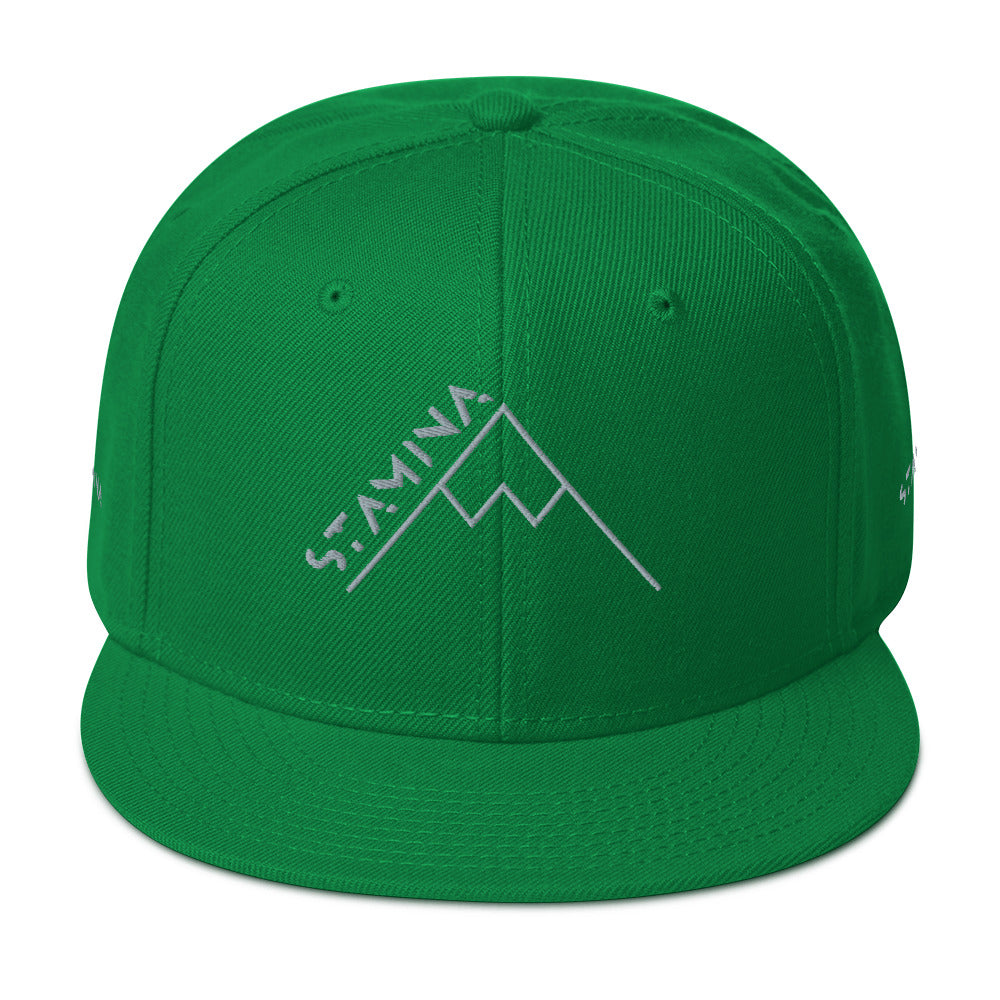 Mt Everest Snapback Hat