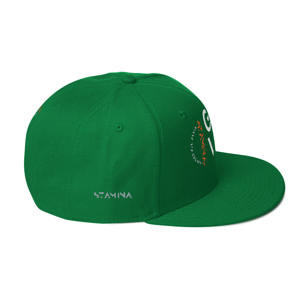 Gym Vibe Snapback Hat