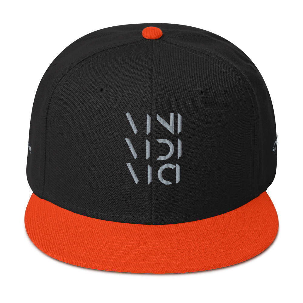 Vini Vidi Vici Snapback Hat