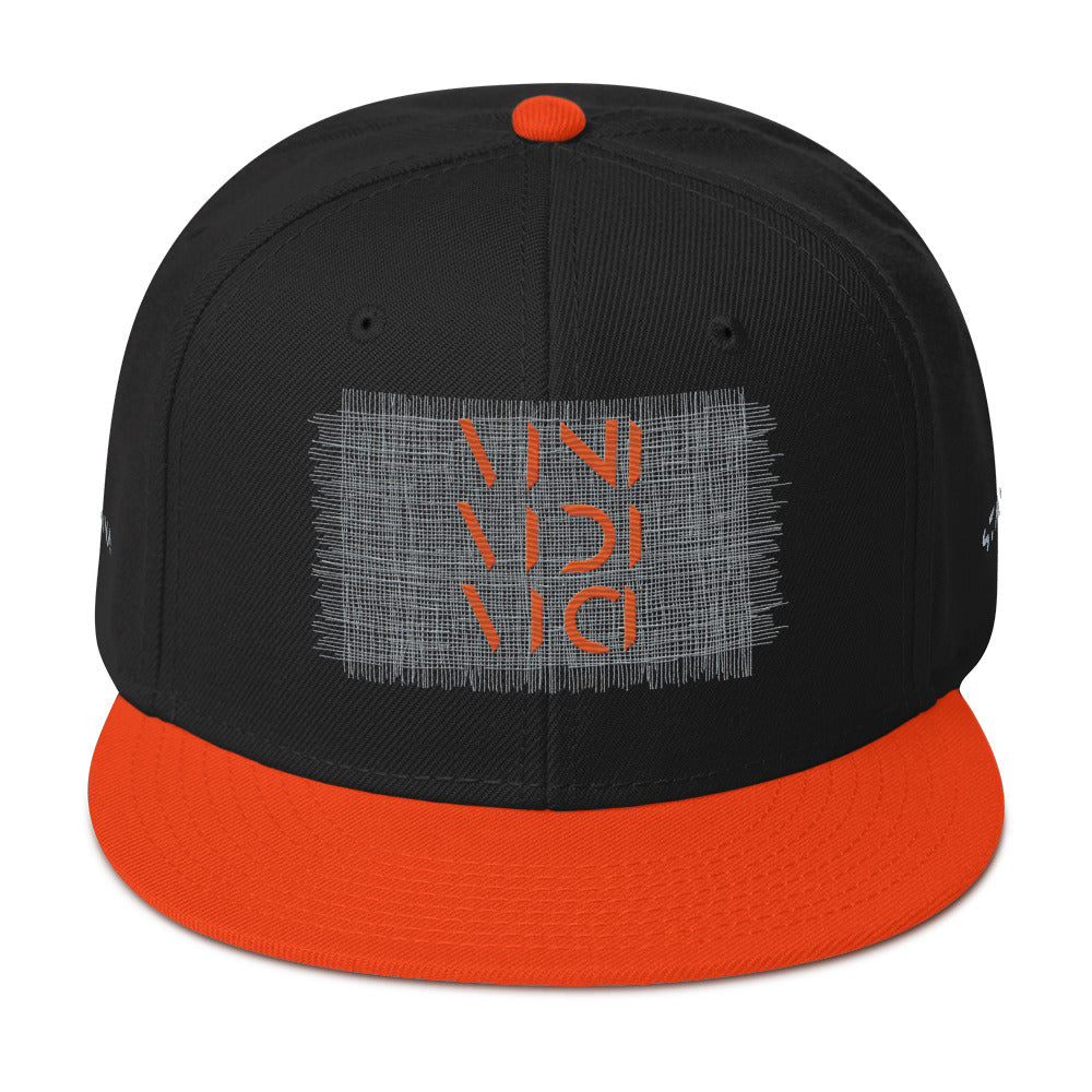 Vini Vidi Vici Snapback Hat