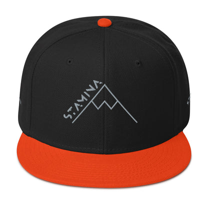 Mt Everest Snapback Hat