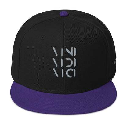 Vini Vidi Vici Snapback Hat