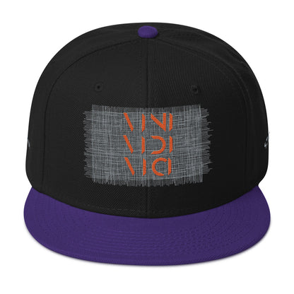 Vini Vidi Vici Snapback Hat