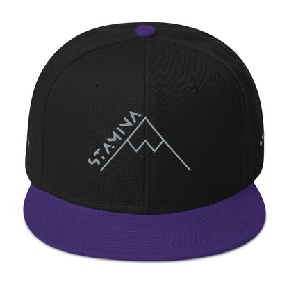 Mt Everest Snapback Hat