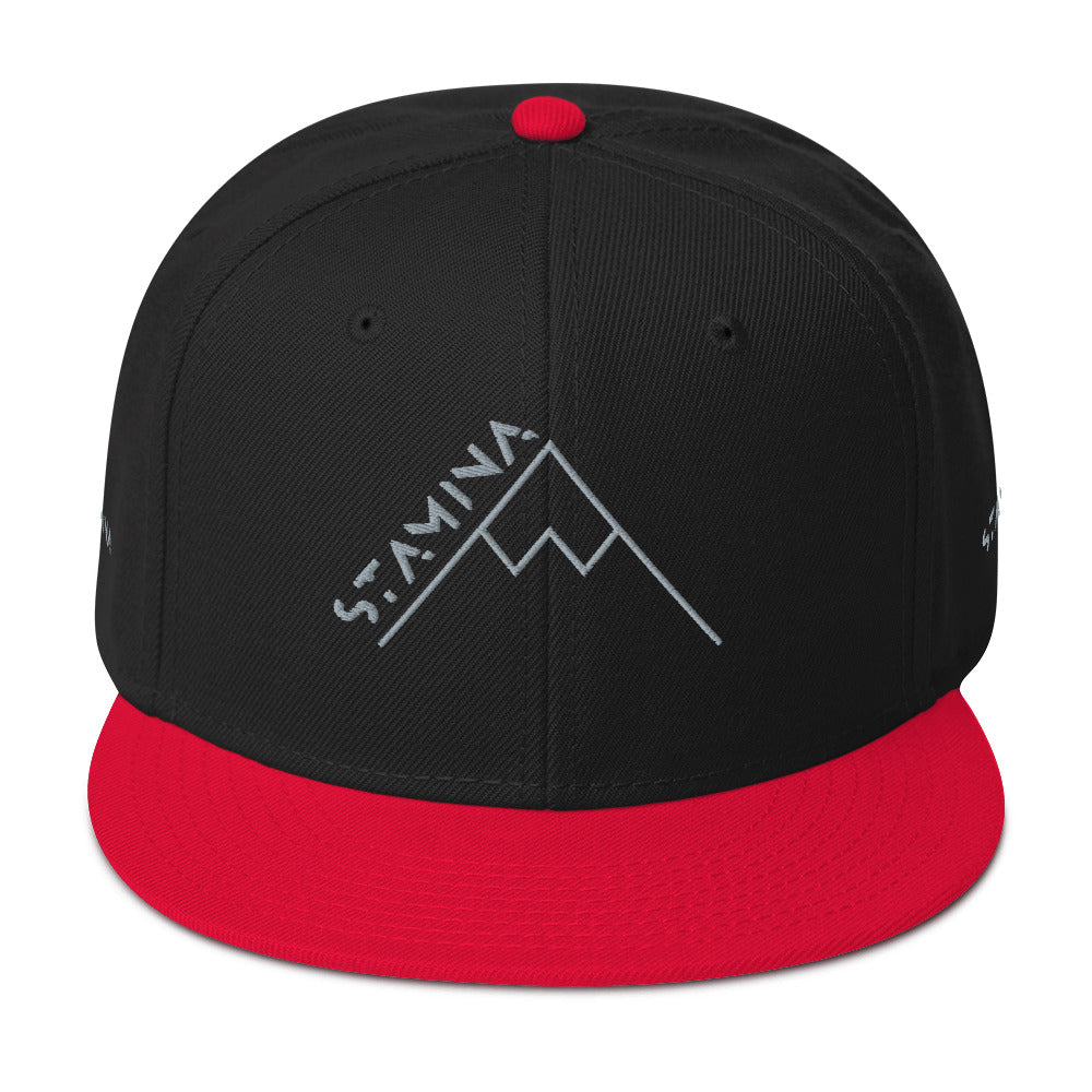 Mt Everest Snapback Hat