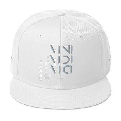 Vini Vidi Vici Snapback Hat