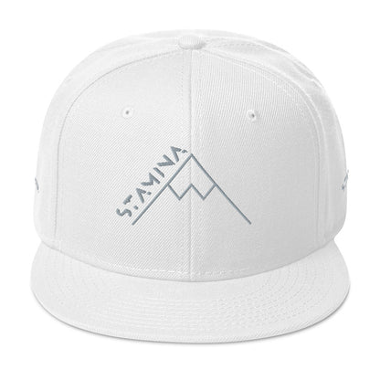 Mt Everest Snapback Hat