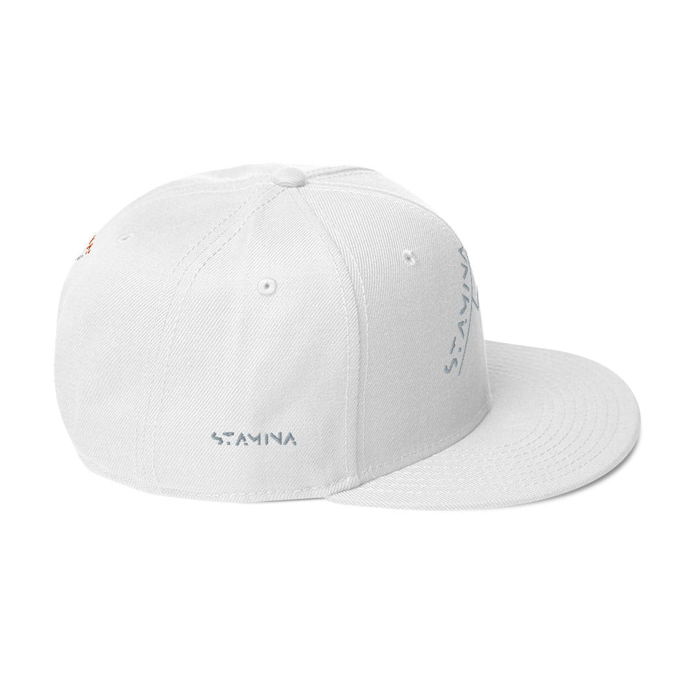 Mt Everest Snapback Hat