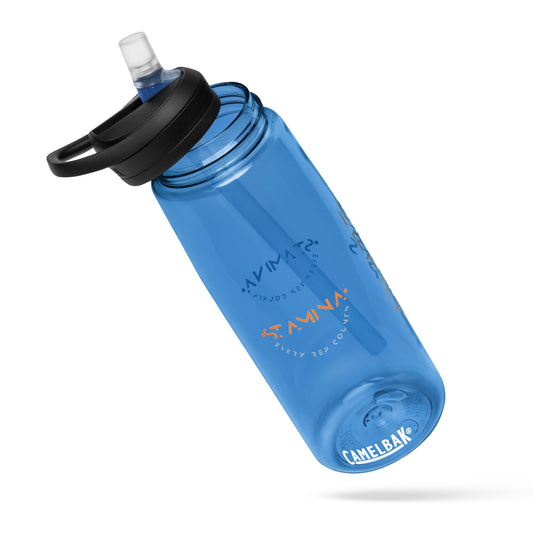 Stamina Sports water bottle