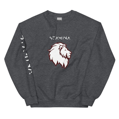 Lion's heavy Sweatshirt