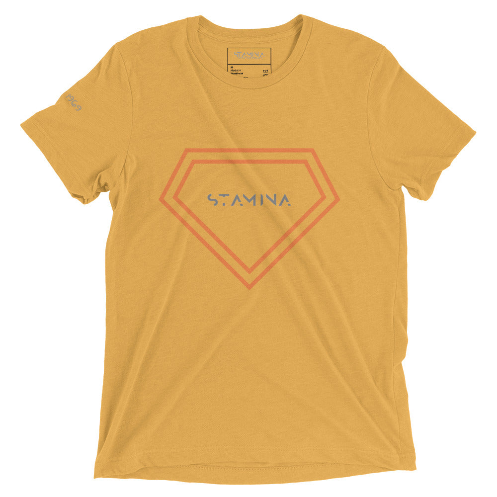 Superman chest logo Short sleeve t-shirt