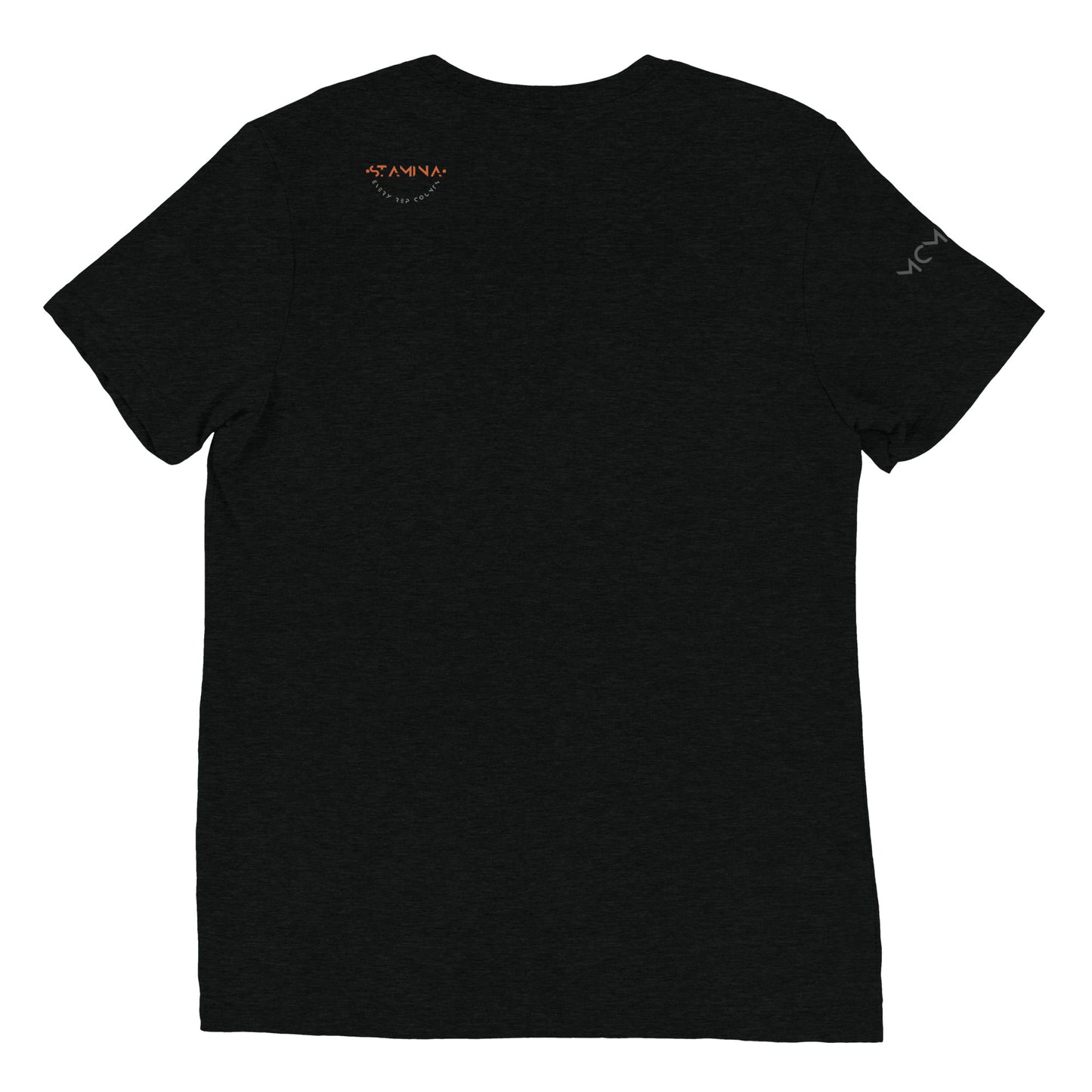 Mt Everest Short sleeve t-shirt