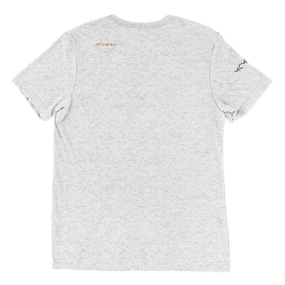 Mt Everest Short sleeve t-shirt